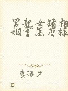 男龙女猪相配婚姻会怎么样封面