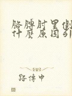 胳膊肘里侧疼痛什么原因引起的