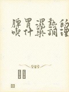 脾胃湿热的症状吃什药调理