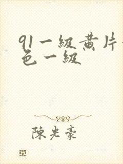 91一级黄片黄色一级