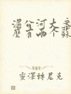 湄公河大案为什么有两个苏沃