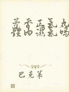 藿香正气丸能去体内湿气吗