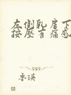 左侧乳房下边缘按压有痛感