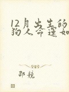 12月出生的属狗人命运如何封面