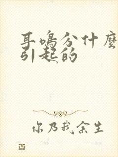 耳鸣分什么原因引起的