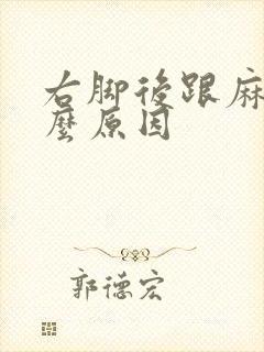 右脚后跟麻是什么原因