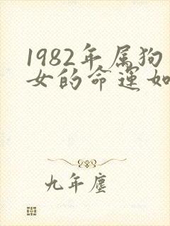 1982年属狗女的命运如何