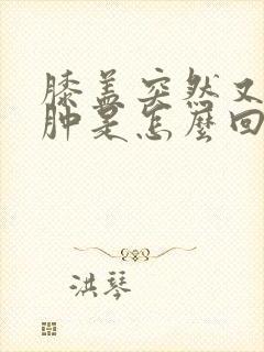 膝盖突然又疼又肿是怎么回事封面