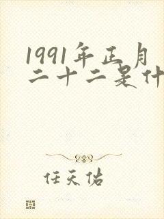 1991年正月二十二是什么命