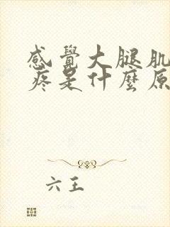 感觉大腿肌肉酸疼是什么原因