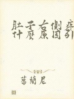 肚子右侧疼痛是什么原因引起的封面