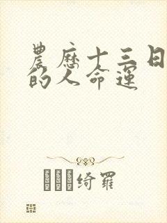 农历十三日出生的人命运