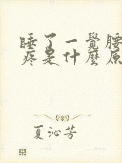 睡了一觉腰酸背疼是什么原因