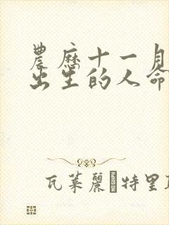 农历十一月十一出生的人命运