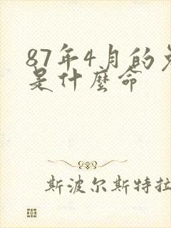 87年4月的兔是什么命