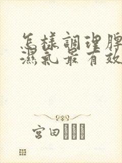 怎样调理脾胃去湿气最有效