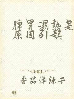 脾胃湿热是什么原因引起