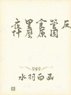 夜里食管反流是什么原因封面