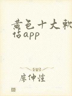 黄色十大软件网站app