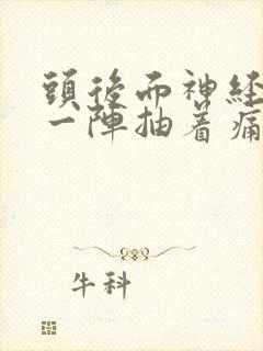 头后面神经一阵一阵抽着痛