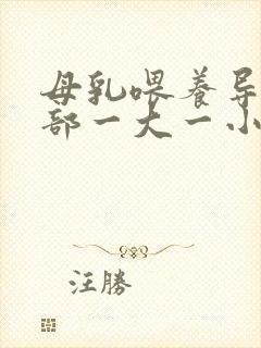 母乳喂养导致胸部一大一小怎么办封面