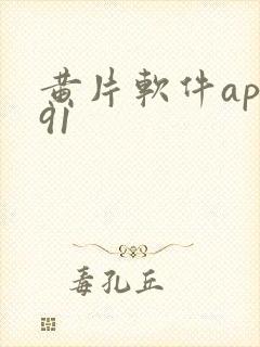 黄片软件app91