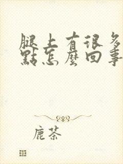 腿上有很多红点点怎么回事