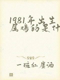 1981年出生属鸡的是什么命封面