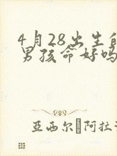 4月28出生的男孩命好吗