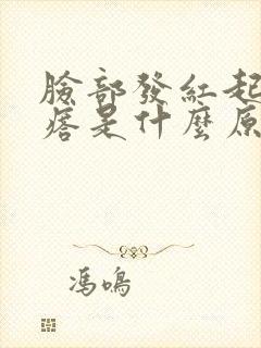 脸部发红起小疙瘩是什么原因