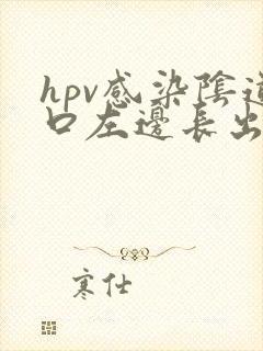 hpv感染阴道口左边长出长条淡粉色肉