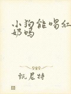 小狗能喝红枣酸奶吗