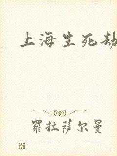 上海生死劫封面