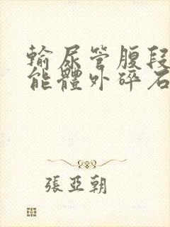 输尿管腹段结石能体外碎石吗