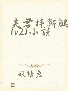夫君摔断腿后(1v2)小说