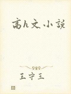 高h文小说