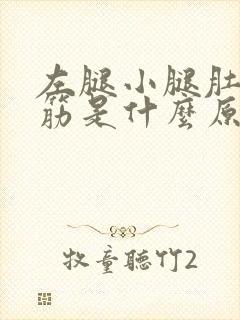 左腿小腿肚子抽筋是什么原因引起的