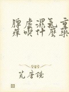 脾虚湿气重皮肤痒吃什么药