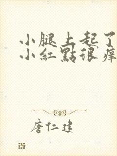 小腿上起了好多小红点很痒封面