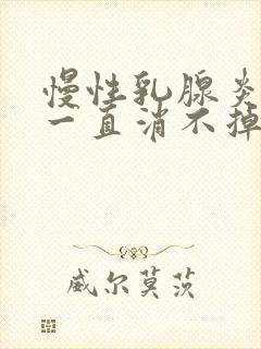 慢性乳腺炎硬块一直消不掉怎么办