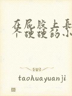 在屁股上长了一个硬硬的小疙瘩封面