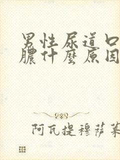 男性尿道口流白脓什么原因