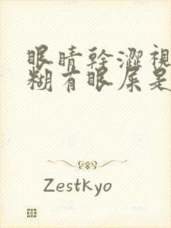 眼睛干涩视力模糊有眼屎是什么原因造成的封面