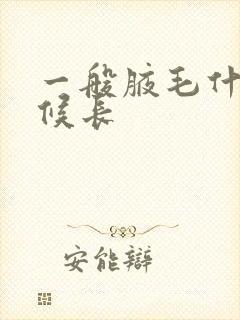 一般腋毛什么时候长