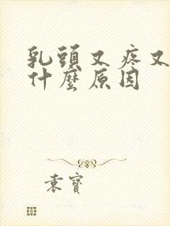 乳头又疼又痒是什么原因