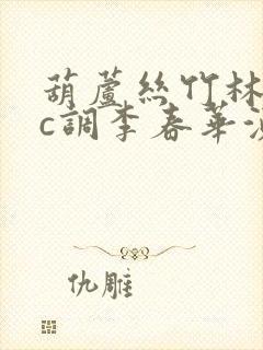 葫芦丝竹林深处c调李春华演奏封面