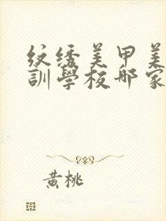 纹绣美甲美睫培训学校哪家好