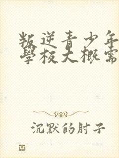 叛逆青少年特训学校大概需要多少钱