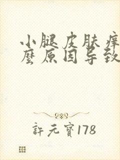 小腿皮肤痒是什么原因导致的