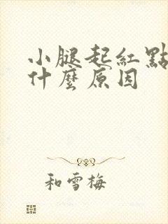 小腿起红点痒是什么原因